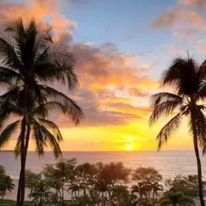 Meet your Posher, Jody